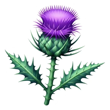 Scottish thistle sticker