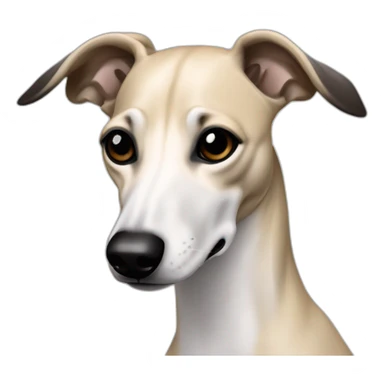 a beige whippet with a dark snout, black and white mouth patchy and black angel wing like eyes – walking sticker