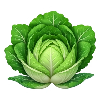 Baby Chinese cabbage sticker