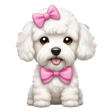 white maltipoo with pink bow on the head sticker