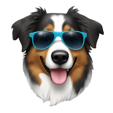 Australian shepherd with sunglasses sticker