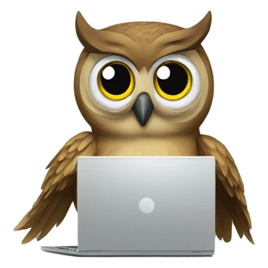 owl-coding-with-laptop sticker