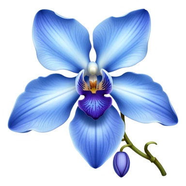 Blue orchid flower sticker