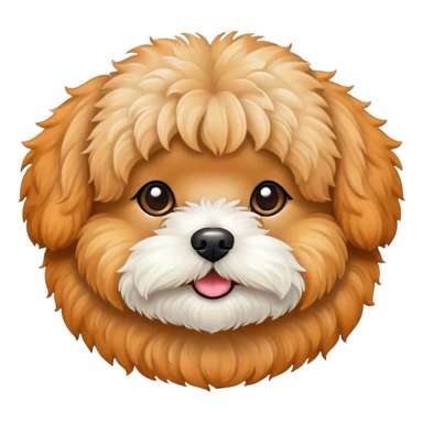 Maltipoo apricot sticker