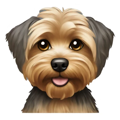 Yorkiepoo sticker