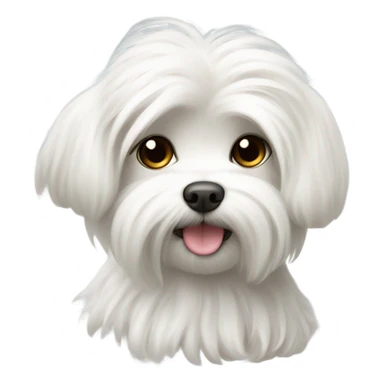 maltese dog sticker