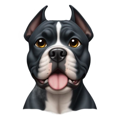 black american bully with black nose sticker