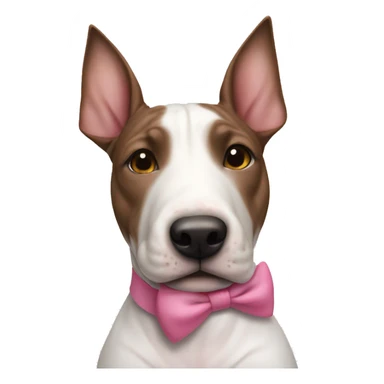 female mostly brindle bull terrier with small amount of white around nose and a pink bow around neck sticker