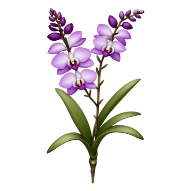 single white purple Rhynchostylis Orchid, 
straight stem sticker