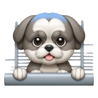 cute all grey shih tzuh behind window blinds pulling them open with one paw and PEEKING through the slit between the blinds sticker