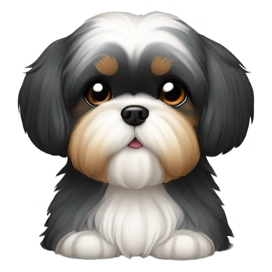 Shih tzu black puppy, yorkie coloring with light colored eyebrows. Round face, short ears. Looks like teddy bear  sticker
