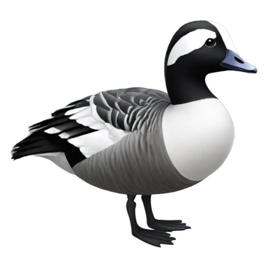 Barnacle goose sticker
