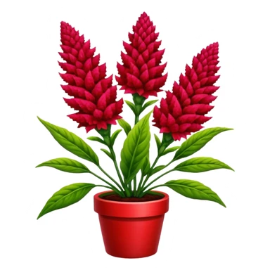 celosia plant sticker