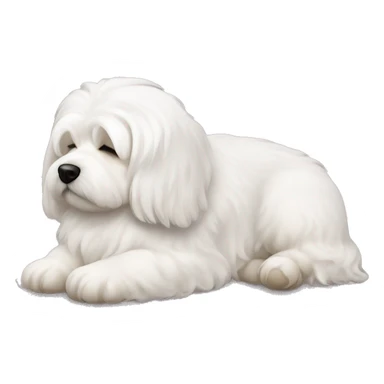 Coton de tulear dog sleeping sticker