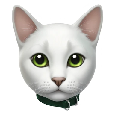 white cat with black spot next to his right ear, black tail and black spot in his back and dark green collar sticker