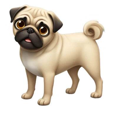 Pug dog  sticker