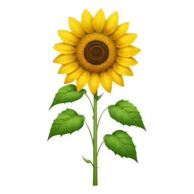 Girasol sticker