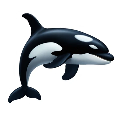 Killer whale  sticker