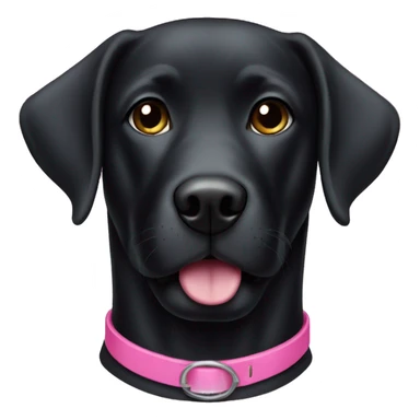 black lab with a pink collar sticker