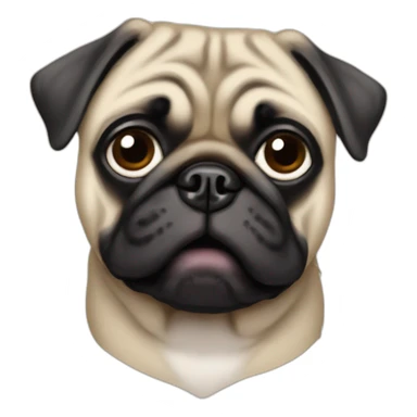pug wearing a t-shirt sticker