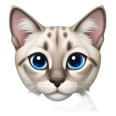 lynx-point-siamese-cat-blue-eyes sticker