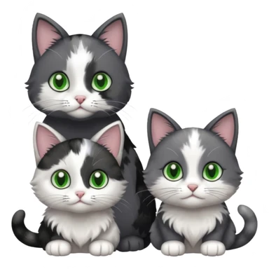 3 different coloured small cats including a dark grey and white, and a patchy calico and a completely solid dark grey with green eyes and only white paws\ sticker