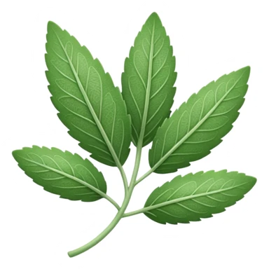 One sage leaf sticker