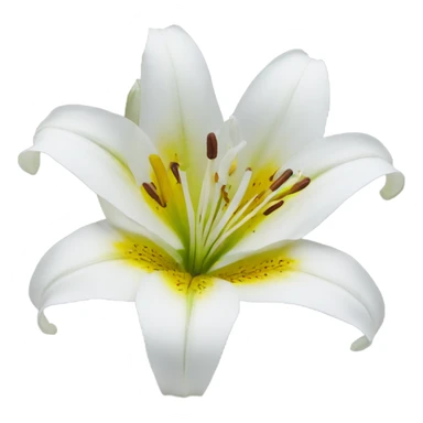 lillies flower sticker