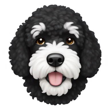 Black bernadoodle with white around mouth and big white eyebrows  sticker