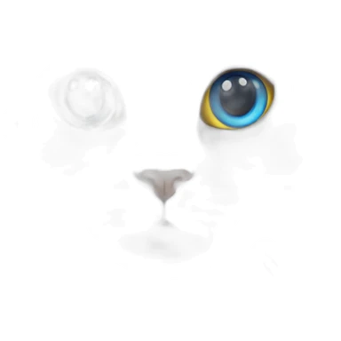 A furry white cat with heterochromia but with one blue eye and the other yellow. sticker