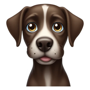 Dark brown dog with light blue eyes and pointy unturned ears  sticker