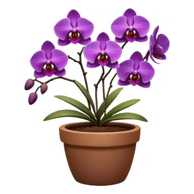 Purple Orchid in a clay pot sticker