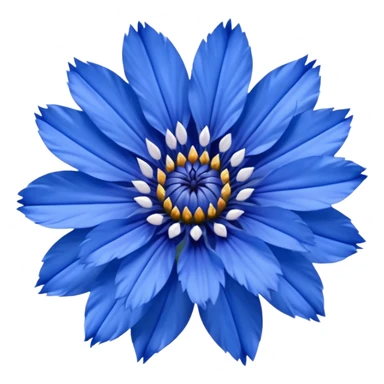 cornflower sticker