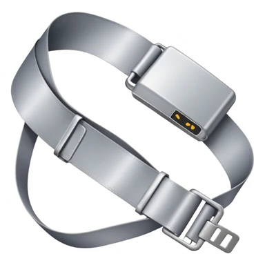 plane seatbelt sticker