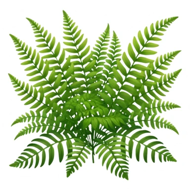 A cluster of soft green ferns growing under shaded trees. sticker