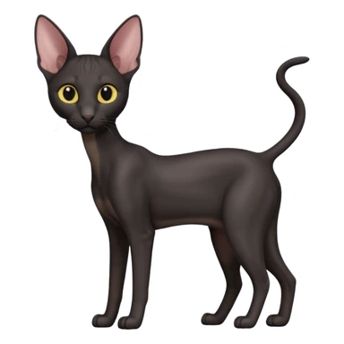 A 3D cartoon black Oriental Shorthair cat with bulky body, tall ears, reflective fur, dark cinematic background, Memoji-style. full body or half body. sticker