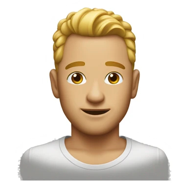 🥷🏼 mixed with 🤷‍♂️ sticker