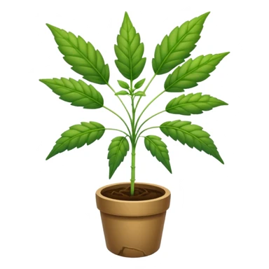 Weed plant sticker