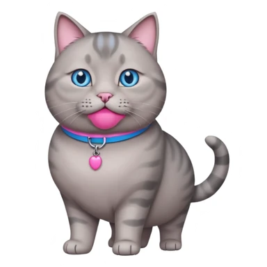 A fat grey cat with a pink collar and walking and looking at u with blue eyes sticker