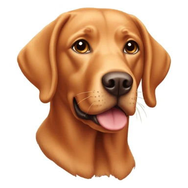 Red Labrador retriever sticker