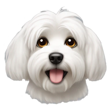 Coton De Tulear dog cute  sticker