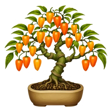 Very Large decorative gnarled bonsai pepper plant with fourty minuscule round orange-yellow peppers on it  sticker