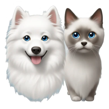 One white Japanese spitz with brown eyes and one small grey ragdoll cat with blue eyes  sticker