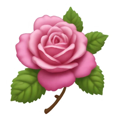 Rosa rasperry sticker