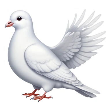 white dove pigeon sticker