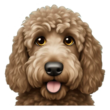 Brownish Labradoodle wearing a Philadelphia eagles jersey sticker