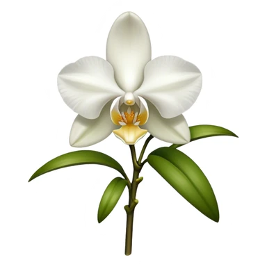 single white Dendrobium Orchid sticker