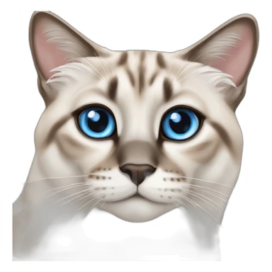 lynx-point-siamese-cat-blue-eyes sticker
