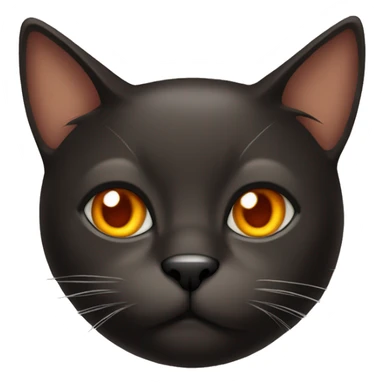 Go a dark brown cat with orange eyes sticker