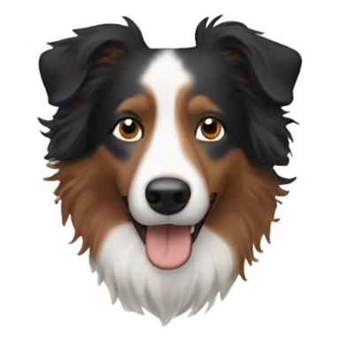 A white man with curly hair with a Border collie sticker